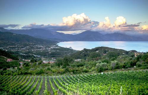 Tenuta del Bifan - Photo 72