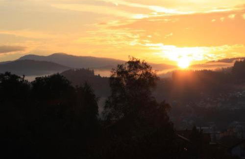 Gemütliche Wohnung in Flussnähe in Regen Bayern - Foto 23