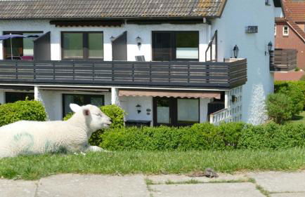 Haus Lith Deichblick - Foto 1