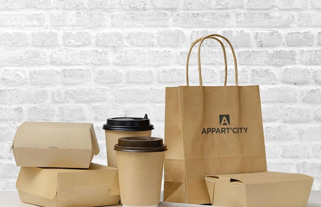 Appart'City Classic Toulouse Tournefeuille - Foto 16