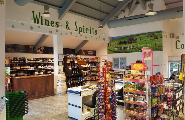 Ocho Rios Villa at Coolshade III - Photo 79