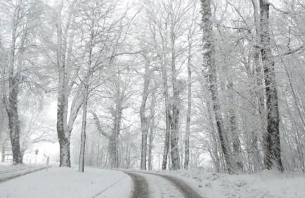 Gut-Rattelvitz-Galerie-D-hochwertig-Sauna-Kamin-eTankstelle-Spielscheune-15-000qm-Parkland - Photo 70