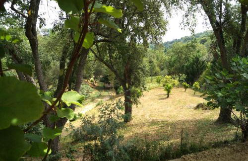 Maison au calme piscine mer au coeur de la nature U Nuciolu - Foto 15