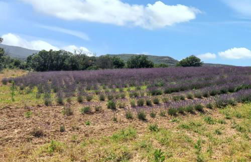 Maison charmante à Vachères avec vue sur la montagne - Foto 22
