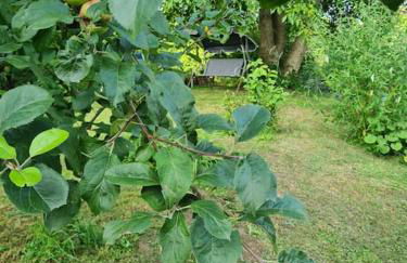 Ferienhaus Hildegard & Horst - Urlaub im Herzen des Fichtelgebirge - Foto 21