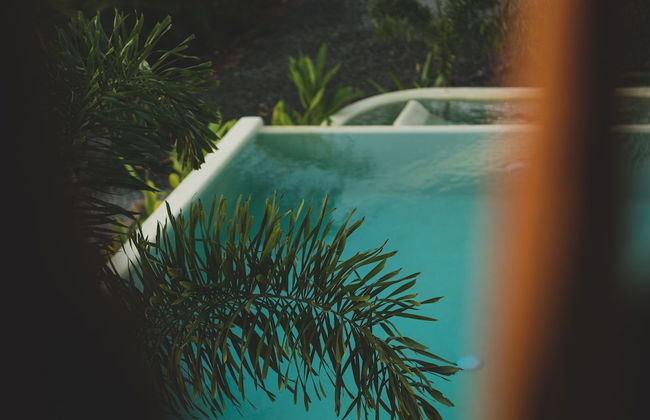 Villas Oasis Bungalow Top - Foto 24