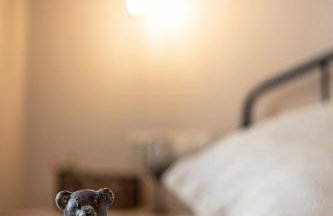 Domus Castrum - Foto 37