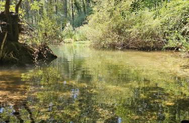 Casa Rural Ramblizo - Foto 19