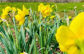 Cheerful 3-bedroom cabin with mountain view - Foto 21