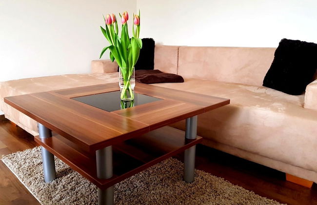 Apartment on the Elbe Ferry - Apartment for 2 - 3 People - Photo 11