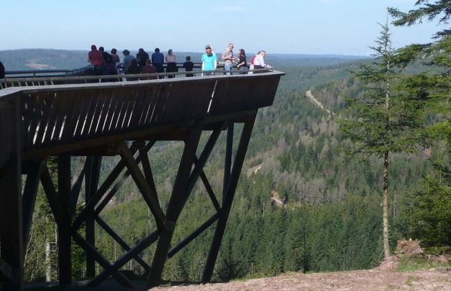 In the Middle of Nowhere - Foto 10