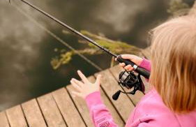 Siedlisko Pozorty - Foto 22