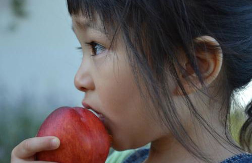 B&B Cà Bianca dell'Abbadessa - Foto 78