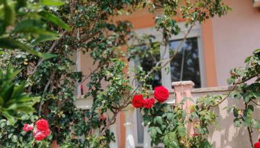 Dream vacation - Foto 4