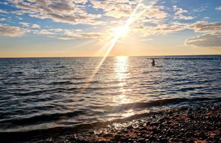 App 8u Rügener Heimatliebe - Photo 60