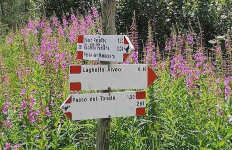 Appartamento Mountain Paradise Ponte di Legno Tonale - Foto 46