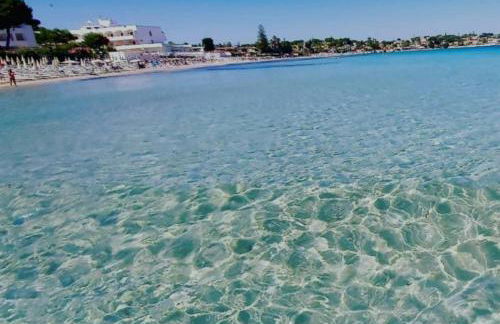 La fiorita - Foto 16