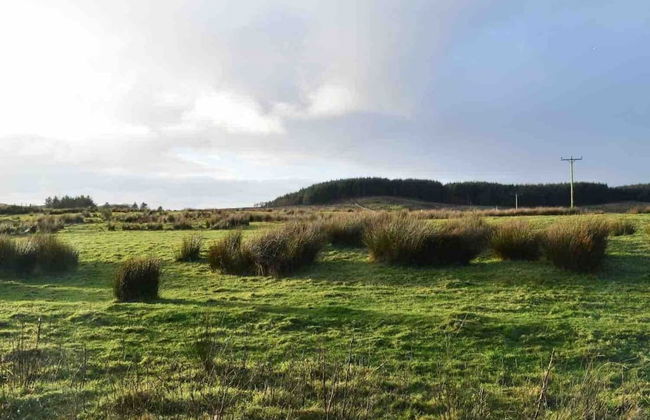 Quaint and Quirky Coastal Cottage Islay - Foto 24
