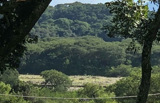 Warakusi Cottages - Off Road - Photo 13