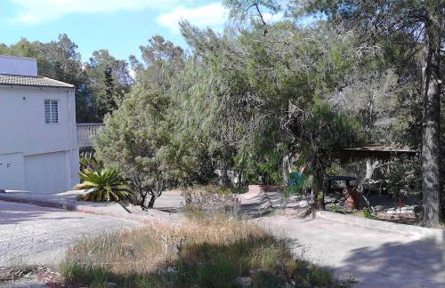 La Casa del bosque - Photo 29