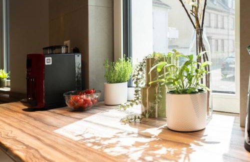 HOUSE 756 MAINZ - DESIGN-FERIENHAUS, 4 Schlafzimmer, 3 Bäder, SAUNA & Kamin - Foto 69