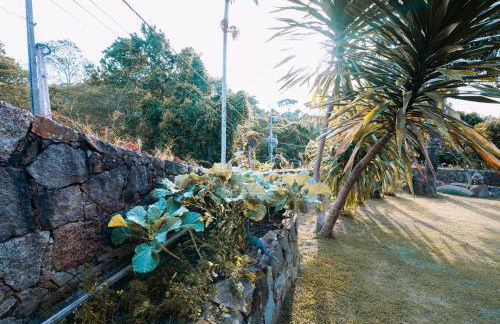 Casinha de Hobbit - Foto 10