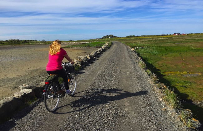 Lighthouse View Lofoten - Foto 13