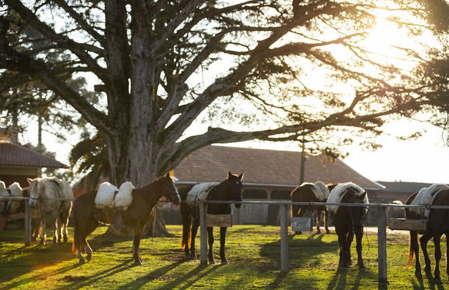 Cerro Azul Hotel Fazenda - Foto 51