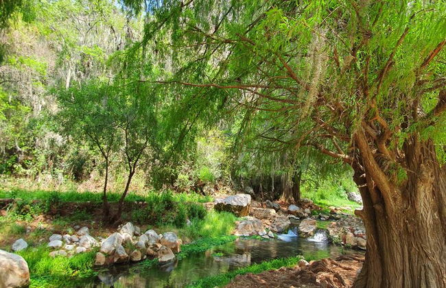 Santiago Apoala et le Lagune Enchantée - Photo 9