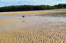 Vivenda Paz do Jubim - Foto 19