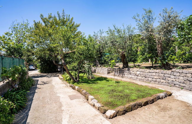 Villa Alice in Sorrento - Foto 33