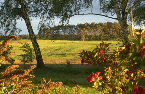 Ferienhof Brune - Photo 7