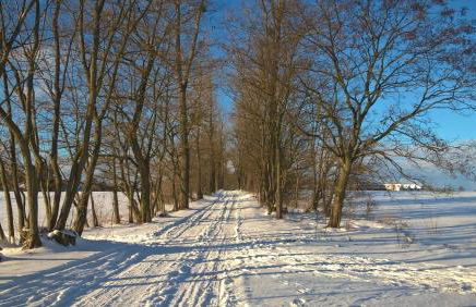 Toms Stuga Ferienwohnung - Foto 30