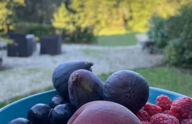 Beautiful Holiday Home With Lake 15min by Bike - Foto 17