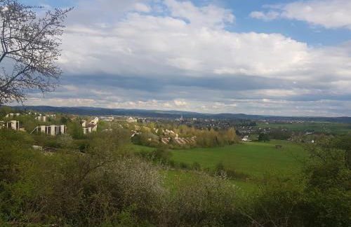 Ferienwohnung Parkblick Medebach - wunderschöne 52qm Dachterasse - in der Nähe von Center Parcs - Foto 24
