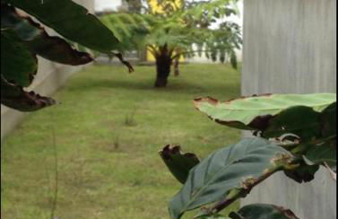 Casa Auri - Photo 16