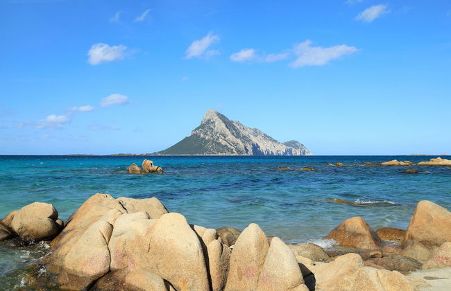 Villa Victoria 1.5 Km From The Beach - Foto 15