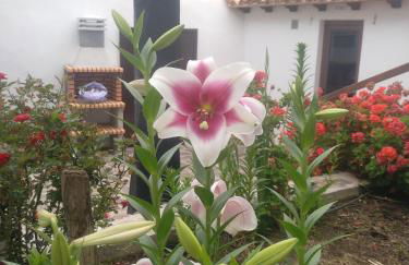 Casa la plaza - Foto 63