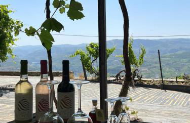 Quinta de Sobre a Fonte Charming Apartments - traditional winery - Foto 22