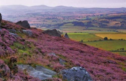 Charming country cottage at a Victorian Station - Foto 16