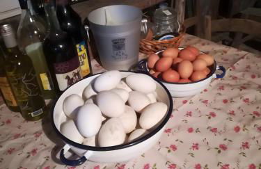 Historic Farmhouse Casa Del Chiodo - Foto 27