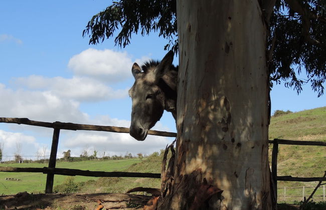Country Relais I Due Laghi - Photo 38