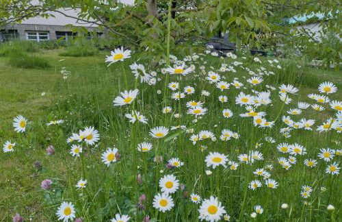 Ferienwohnung Melba - Foto 25
