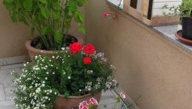 Apartments Villa Marija - Foto 4