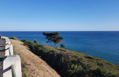 Maison des dunes L'Echappée Belle - Foto 12