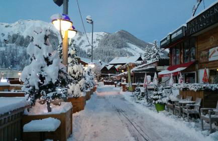 La Grange d'Aur - Place d'Auron - Foto 21