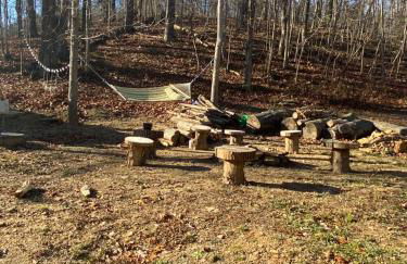 Carlton Cabin at Lake of Egypt 500 Sq Ft - Photo 30