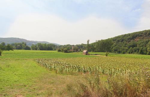 Historic mansion by the River Lot in Cénevières - Foto 9