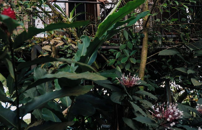 Las Cabanas - Foto 57