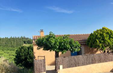 La maison des cerisiers - Foto 14